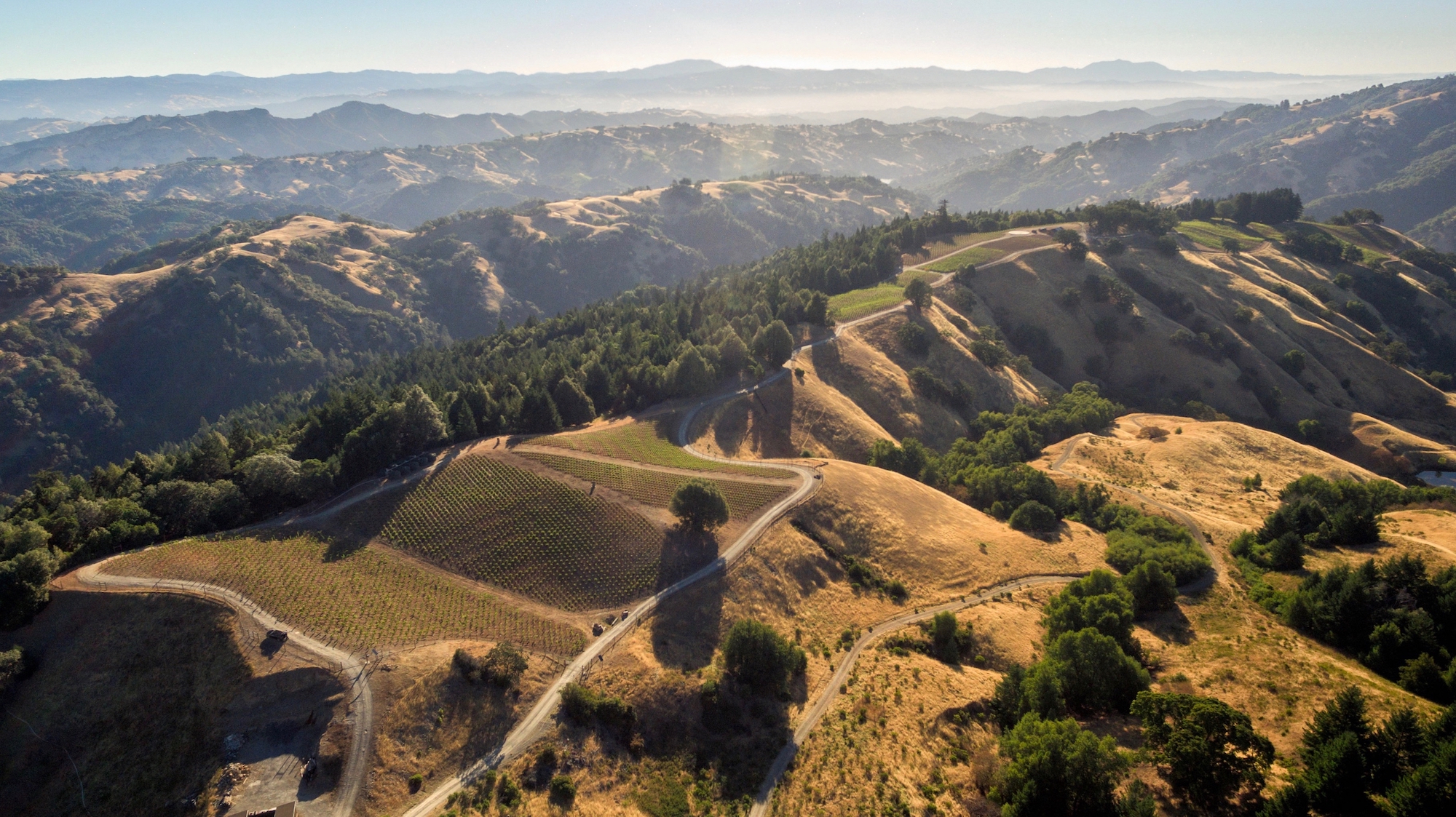 Healdsburg’s new Sicily-inspired winery is pouring the best white wine you’ve never heard of